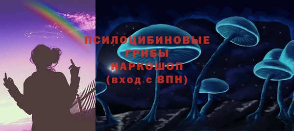 Альфа ПВП Вязьма