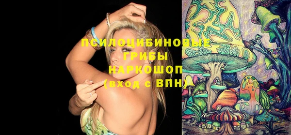 Альфа ПВП Вязьма