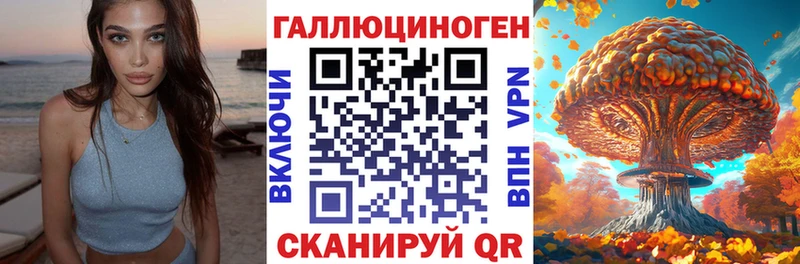наркота  Зарайск  Псилоцибиновые грибы Cubensis 